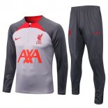 Felpa Liverpool 2022 2023 Grigio