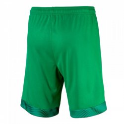 Pantaloni Borussia Dortmund Portiere 2019 2020 Verde