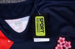 Thailandia Maglia Giappone Home 2017 2018 Blu