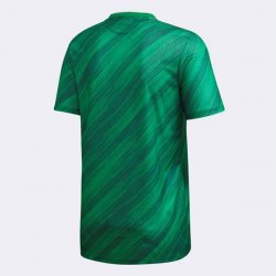 Thailandia Maglia Irlanda Nord Home 2020 Verde