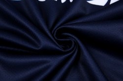 Thailandia Maglia Giappone Home 2017 2018 Blu
