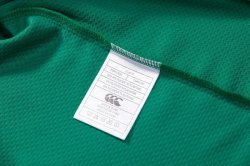 Thailandia Maglia Irlanda Home 2018 Verde