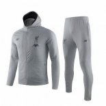 Felpa Liverpool 2019 2020 Grigio