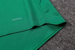 Maglia di Formazione Rugby British and Irish Lions 2017 2018 Verde
