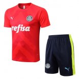 Maglia Formazione Palmeiras Set Completo 2022 2023 Rosso