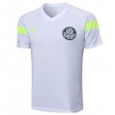 Maglia Formazione Palmeiras 2023 2024 Bianco