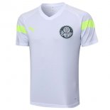 Maglia Formazione Palmeiras 2023 2024 Bianco