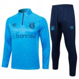 Felpa Allenamento Grêmio FBPA 2024 2025 Blu 3