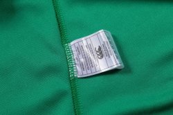 Maglia di Formazione Rugby British and Irish Lions 2017 2018 Verde