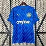 Thailandia Maglia Palmeiras Portiere 2024 2025
