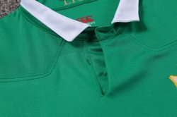 Maglia di Formazione Rugby British and Irish Lions 2017 2018 Verde