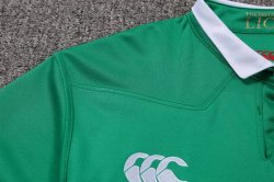 Maglia di Formazione Rugby British and Irish Lions 2017 2018 Verde