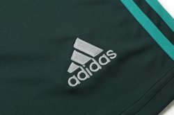 Pantaloni Flamengo Portiere 2019 2020 Verde