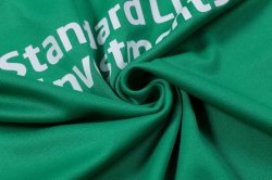 Maglia di Formazione Rugby British and Irish Lions 2017 2018 Verde