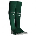 Calzettoni Palmeiras Home 2019 2020 Verde