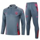 Felpa Allenamento Germania 2024 2025 Grigio 3