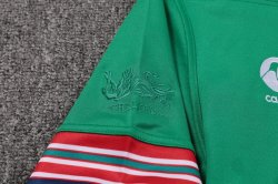 Maglia di Formazione Rugby British and Irish Lions 2017 2018 Verde